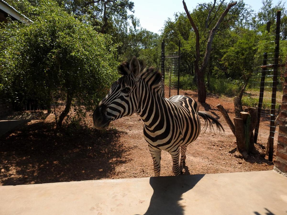 Kruger'S Retreat House & Kruger'S Rest Studio Marloth Park Extérieur photo